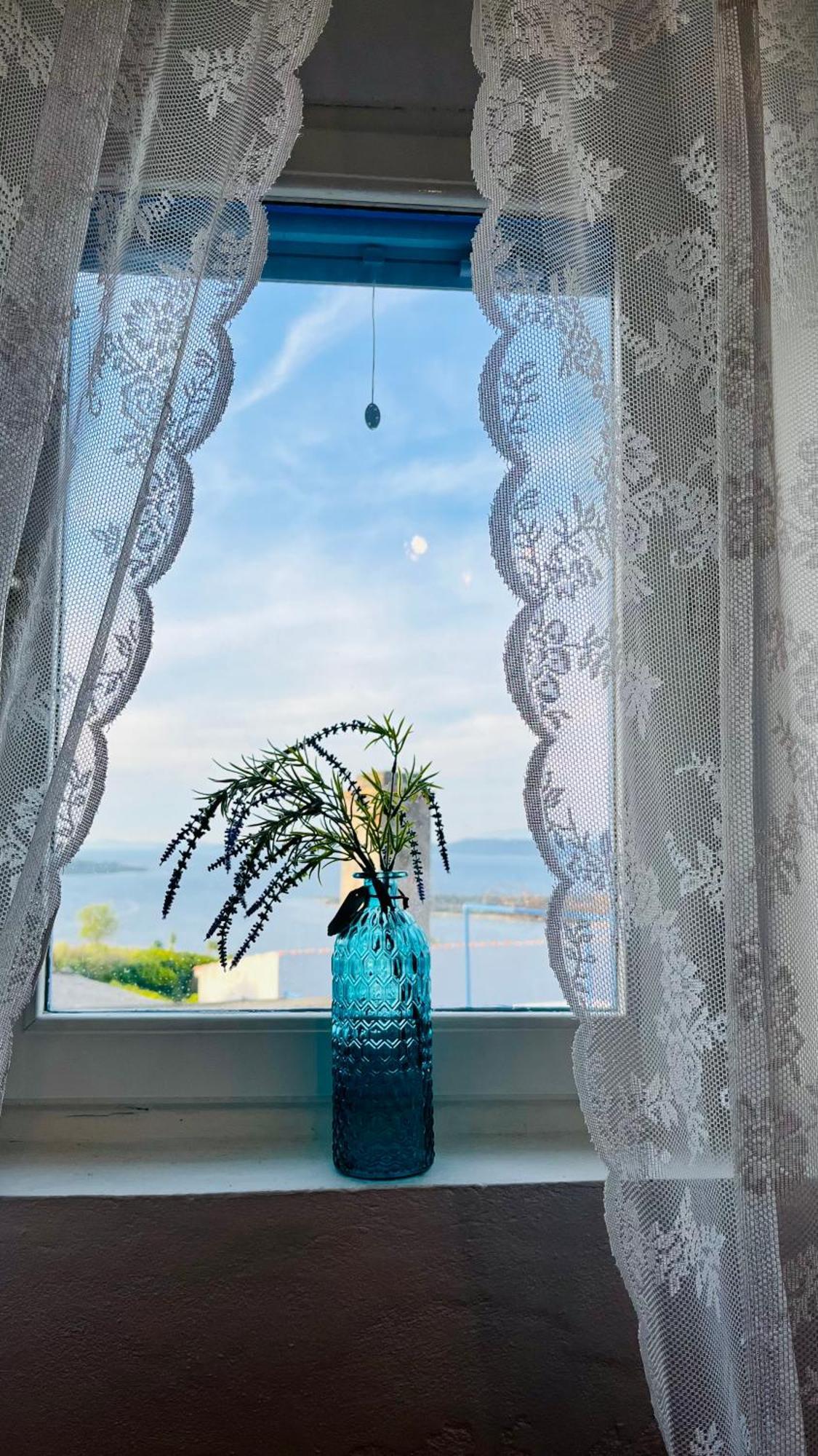 Olivier House Villa Zaglav ภายนอก รูปภาพ
